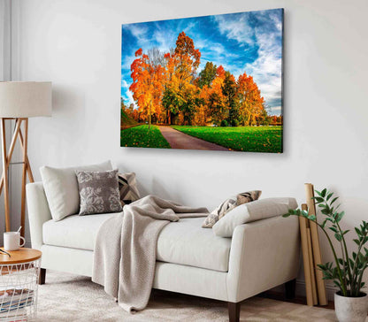 Bella Home Autumn Park in Sunny Bright Day Print Canvas Ready to hang