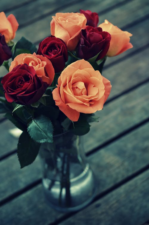Colorful Flower Vase Photograph Print 100% Australian Made