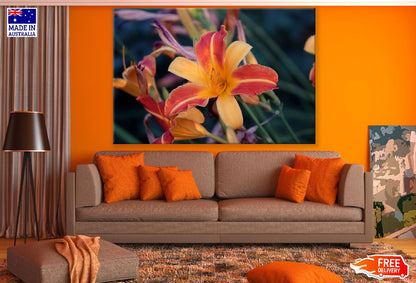 Yellow Orange Lily Flower Closeup Photograph Print 100% Australian Made