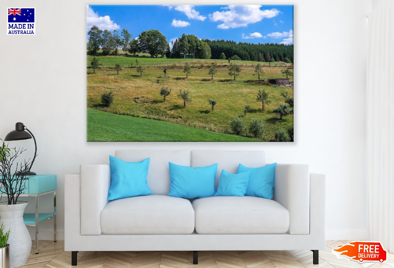 Trees on Hill in Shrubland Photograph Print 100% Australian Made