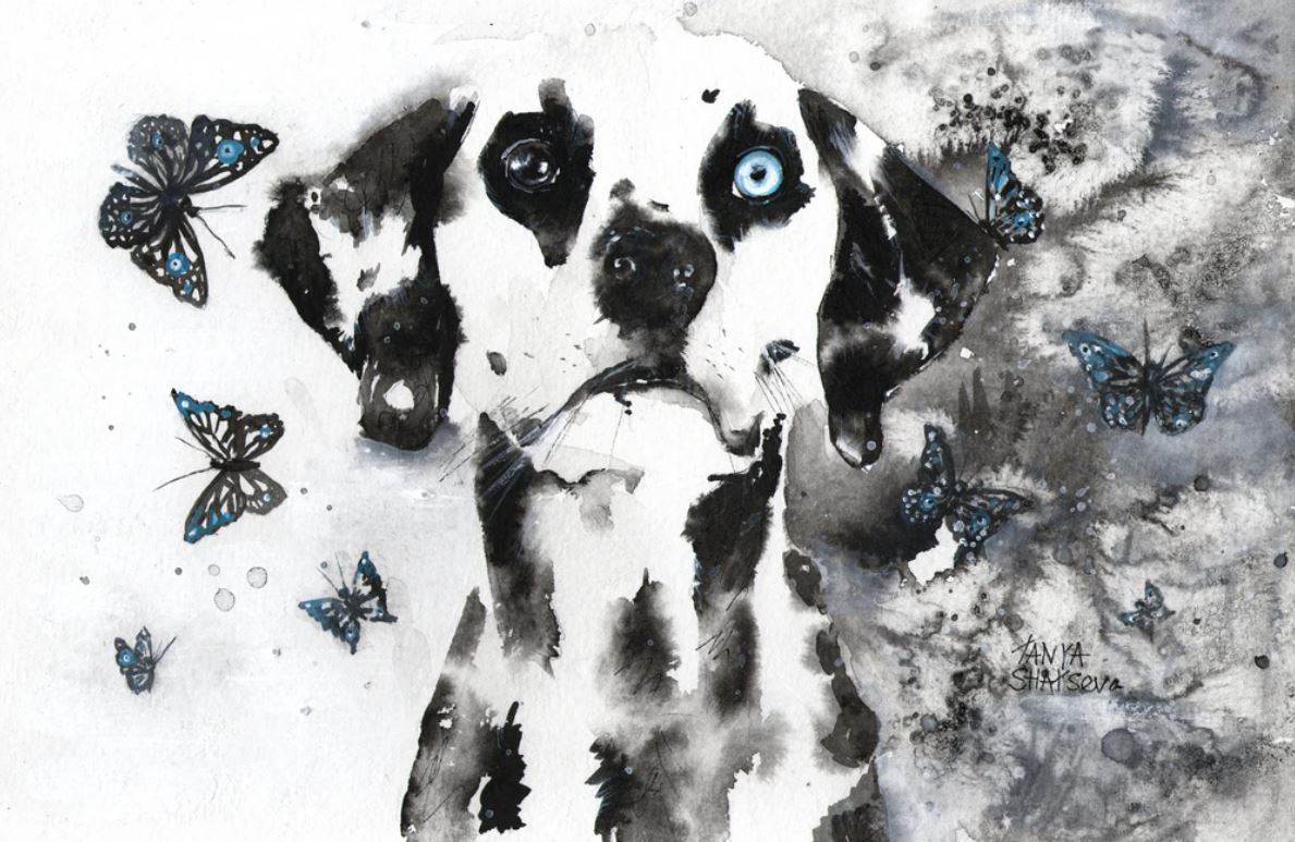 Dalmation Dog B&W Painting Home Decor Premium Quality Poster Print Choose Your Sizes