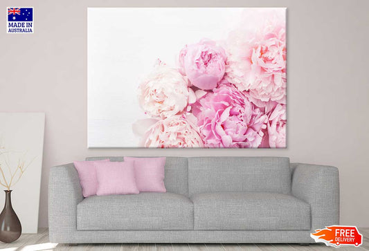 Pink Peony Flowers Closeup View Photograph Print 100% Australian Made