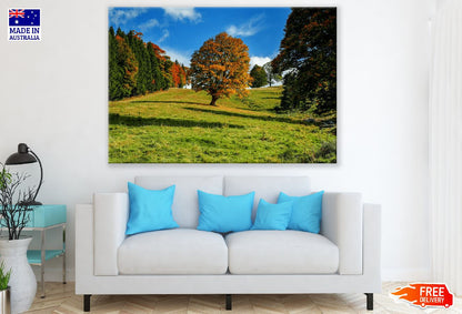 Tree Autumn Forest Landscape Photograph Print 100% Australian Made