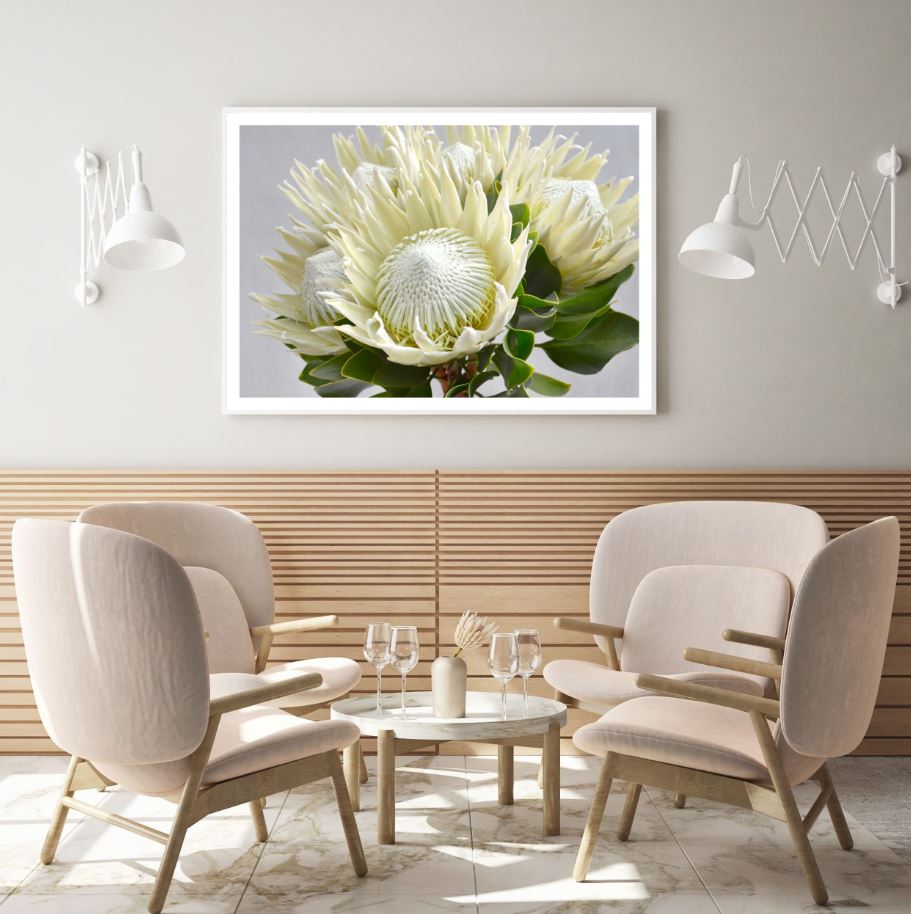 Flower Closeup Photograph Home Decor Premium Quality Poster Print Choose Your Sizes
