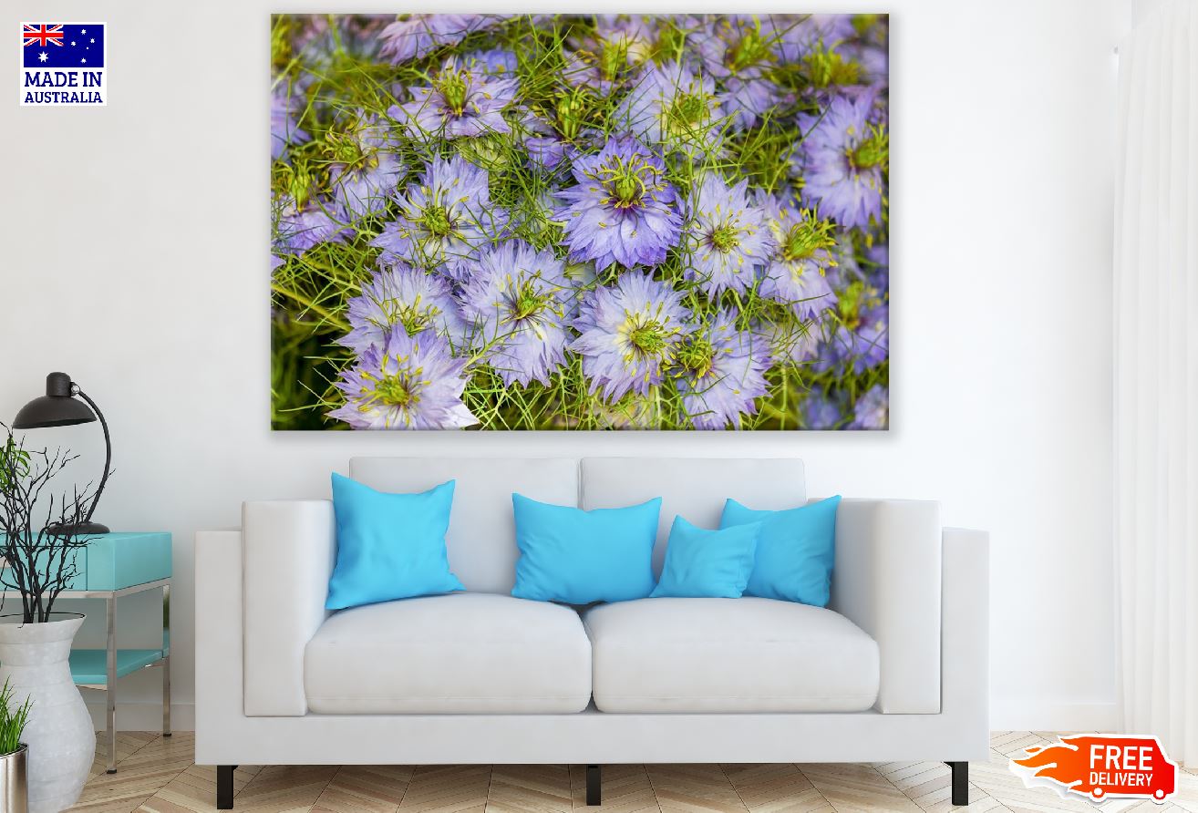 Purple Mist Flowers Photograph Print 100% Australian Made
