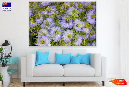 Purple Mist Flowers Photograph Print 100% Australian Made