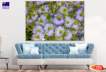 Purple Mist Flowers Photograph Print 100% Australian Made