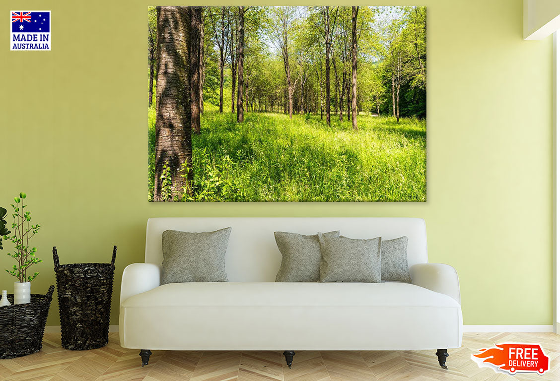 Grass & Trees Photograph Print 100% Australian Made