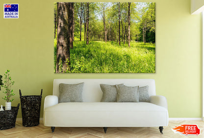 Grass & Trees Photograph Print 100% Australian Made