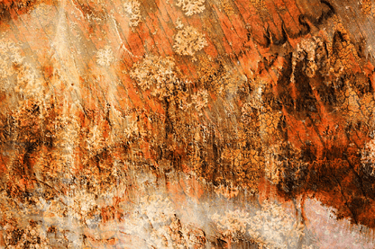 Orange Abstract Design Print 100% Australian Made