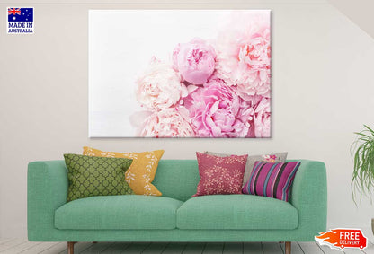 Pink Peony Flowers Closeup View Photograph Print 100% Australian Made