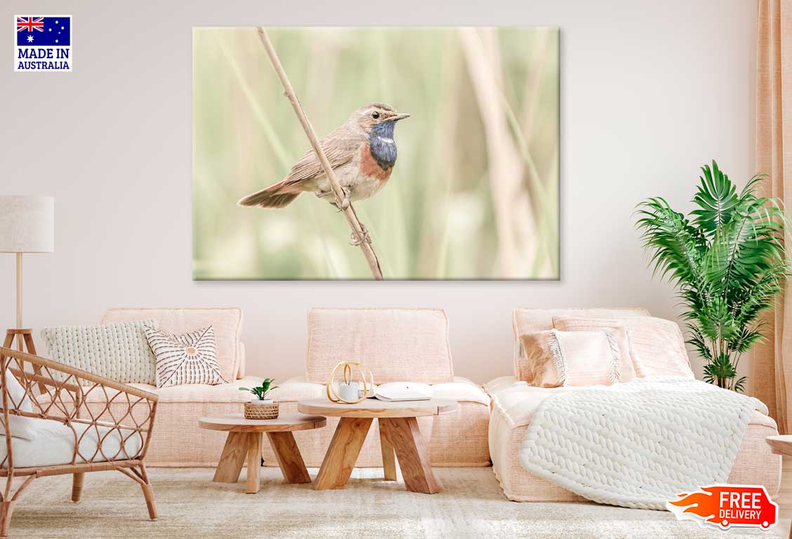 Bird on Tree Branch View Photograph Print 100% Australian Made