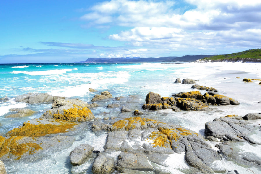 Mossy Rocks Near Sea Photograph in Tasmania Home Decor Premium Quality Poster Print Choose Your Sizes