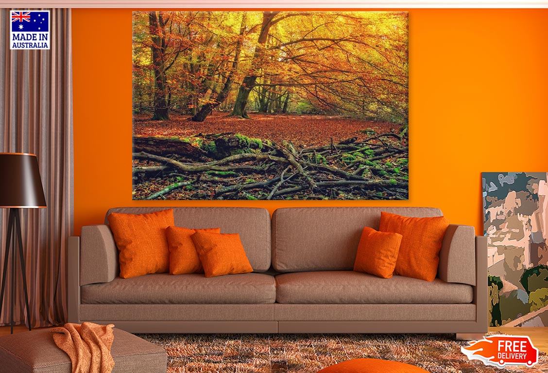 Autumn Forest Photograph Print 100% Australian Made