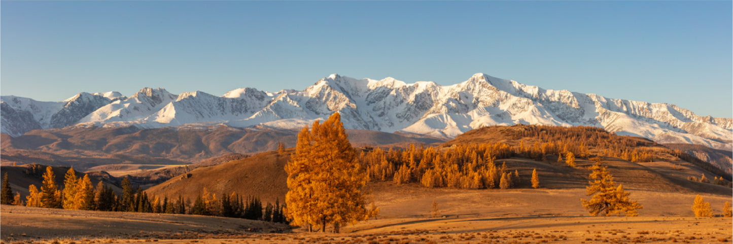 Panoramic Canvas Snow Mountain Autumn Scenery Photograph High Quality 100% Australian Made Wall Canvas Print Ready to Hang