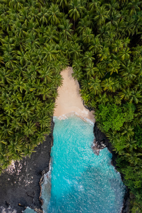 Palm Trees & Sea Waves Aerial View Photograph Print 100% Australian Made