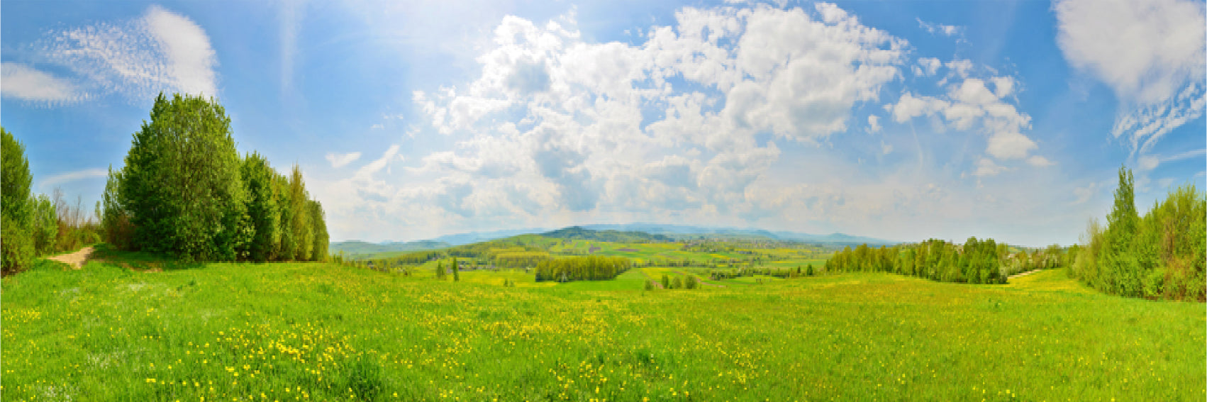 Panoramic Canvas Green Grass Field Scenery Photograph High Quality 100% Australian Made Wall Canvas Print Ready to Hang