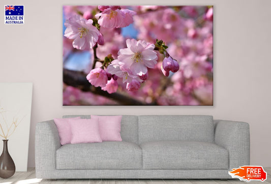 Pink Blossom Flowers Closeup Photograph Print 100% Australian Made