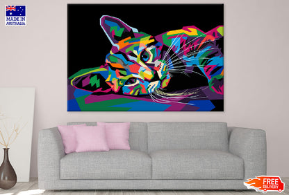 Colorful Cat Sleeping Abstract Design Print 100% Australian Made