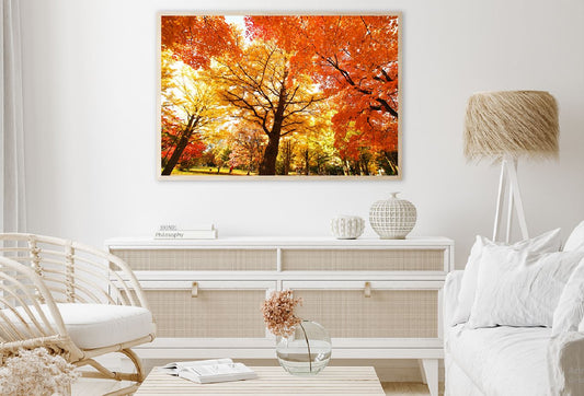 Orange Autumn Trees on Garden View Photograph Home Decor Premium Quality Poster Print Choose Your Sizes