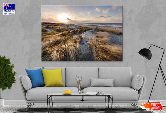 Marram Grass at Sea Coastline Photograph Print 100% Australian Made