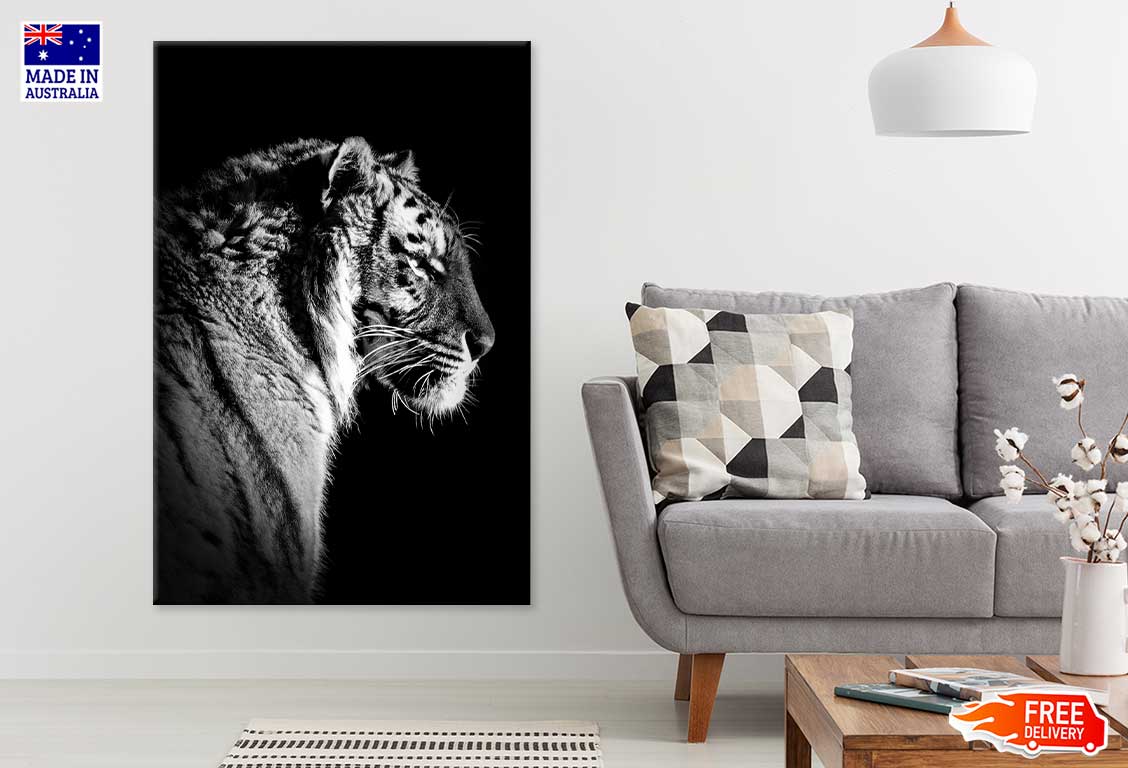 Tiger on Dark Side View B&W Photograph Print 100% Australian Made