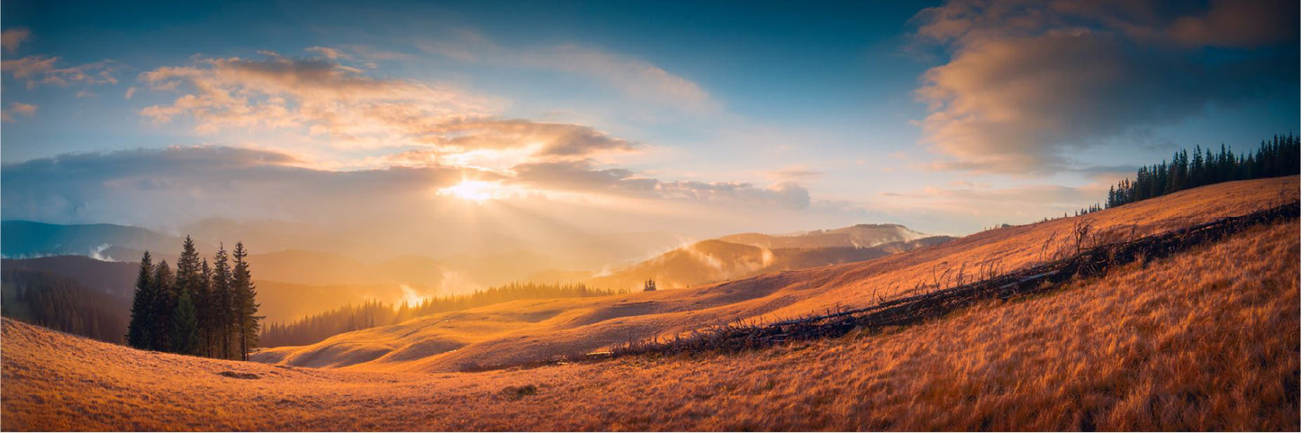 Panoramic Forest Hill Sunset Scenery Photograph High Quality 100% Australian Made Wall Canvas Print Ready to Hang