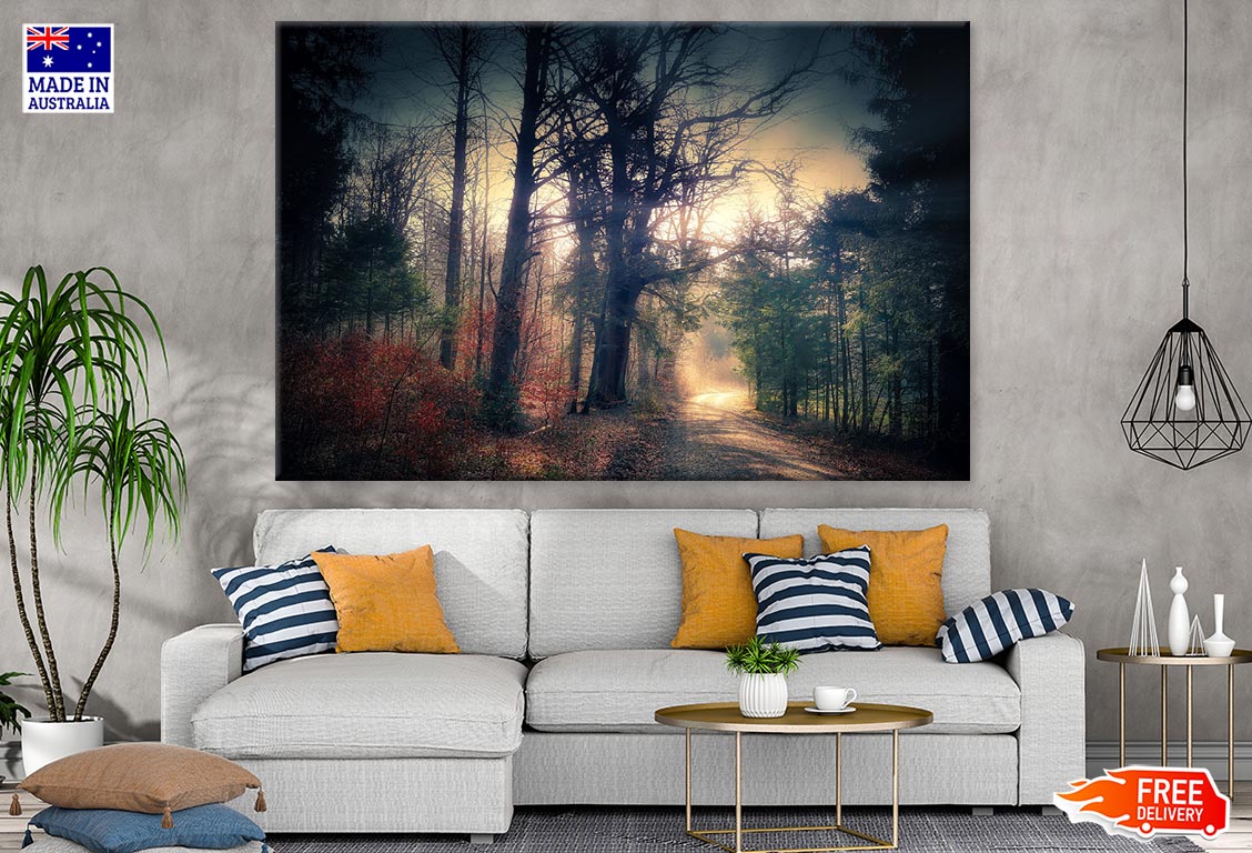 Misty Forest Sunset View Photograph Print 100% Australian Made