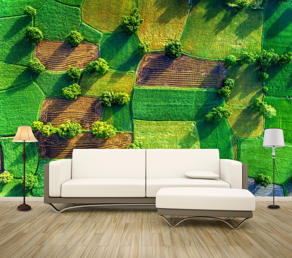 Wallpaper Murals Peel and Stick Removable Aerial View of Rice Fields in Mekong Delta in Vietnam High Quality