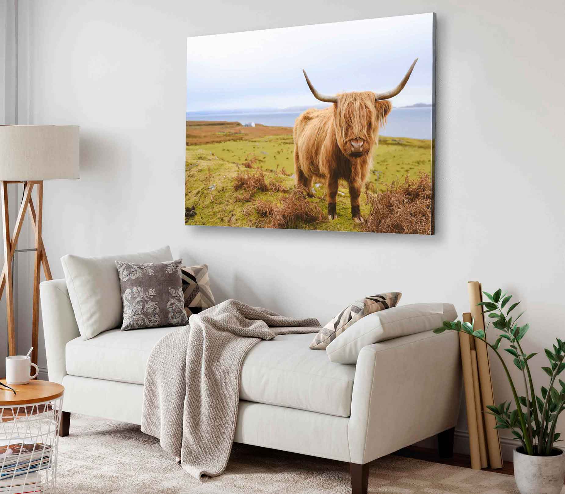 Bella Home Scottish Highland Cow on Field Print Canvas Ready to hang