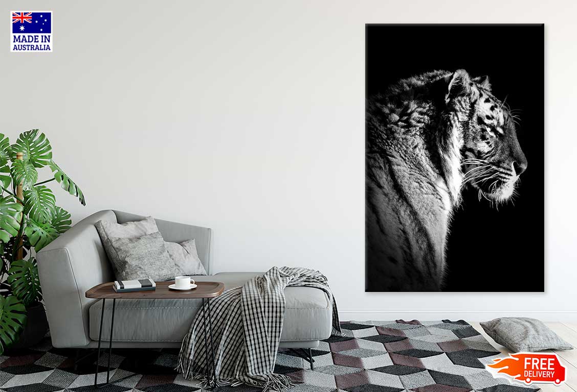 Tiger on Dark Side View B&W Photograph Print 100% Australian Made