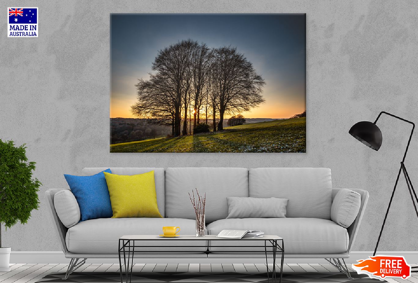 Sun Shining Through Bare Trees Photograph Print 100% Australian Made