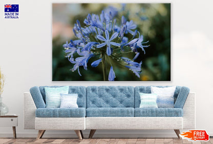 Blue Flower Closeup Photograph Print 100% Australian Made