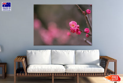 Pink Pulm Flower Closeup View Photograph Print 100% Australian Made
