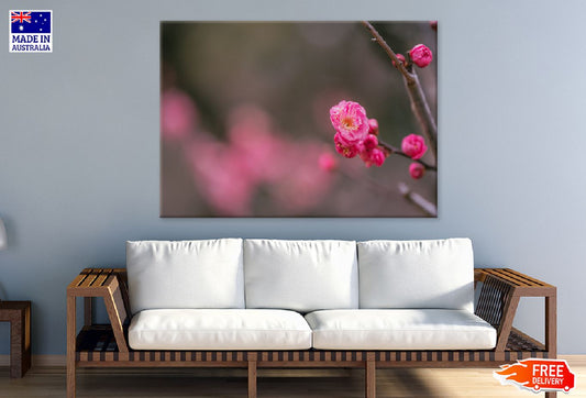 Pink Pulm Flower Closeup View Photograph Print 100% Australian Made