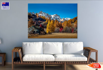 Snow Mountains & Autumn Trees Photograph Print 100% Australian Made