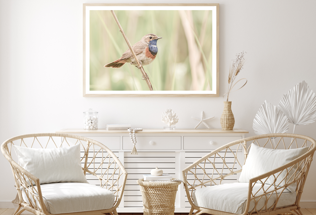 Bird on Tree Branch View Photograph Home Decor Premium Quality Poster Print Choose Your Sizes