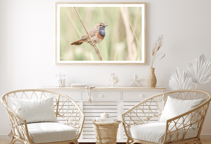 Bird on Tree Branch View Photograph Home Decor Premium Quality Poster Print Choose Your Sizes