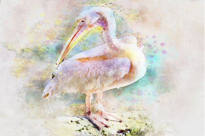 Pelican Bird Watercolor Painting Print 100% Australian Made