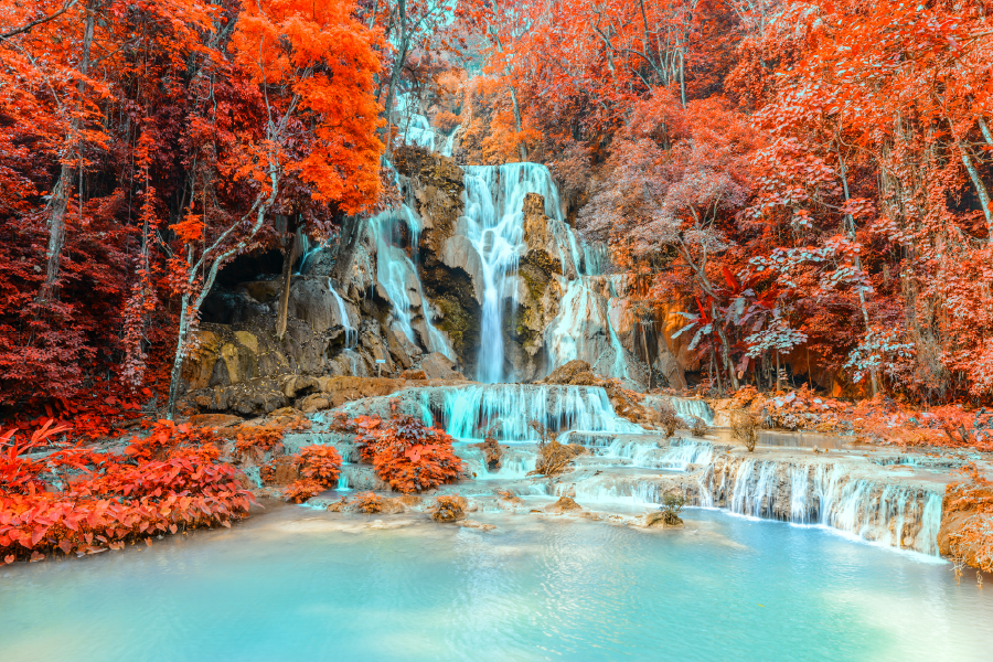 Autumn Trees & Waterfall View Photograph Home Decor Premium Quality Poster Print Choose Your Sizes