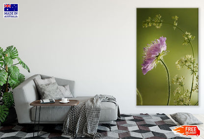 Pink Dahlia Flower Photograph Print 100% Australian Made