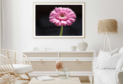 Pink Gerbera Flower on Dark View Photograph Home Decor Premium Quality Poster Print Choose Your Sizes