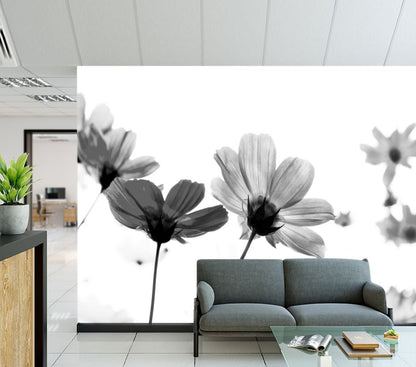 Wallpaper Murals Peel and Stick Removable Pink Cosmos Flowers B&W Photograph High Quality