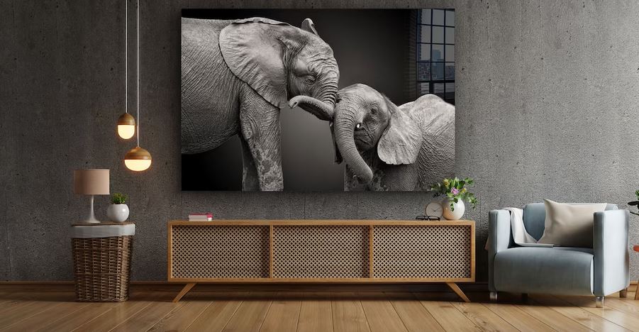 Elephant Baby B&W View Print Tempered Glass Wall Art 100% Made in Australia Ready to Hang