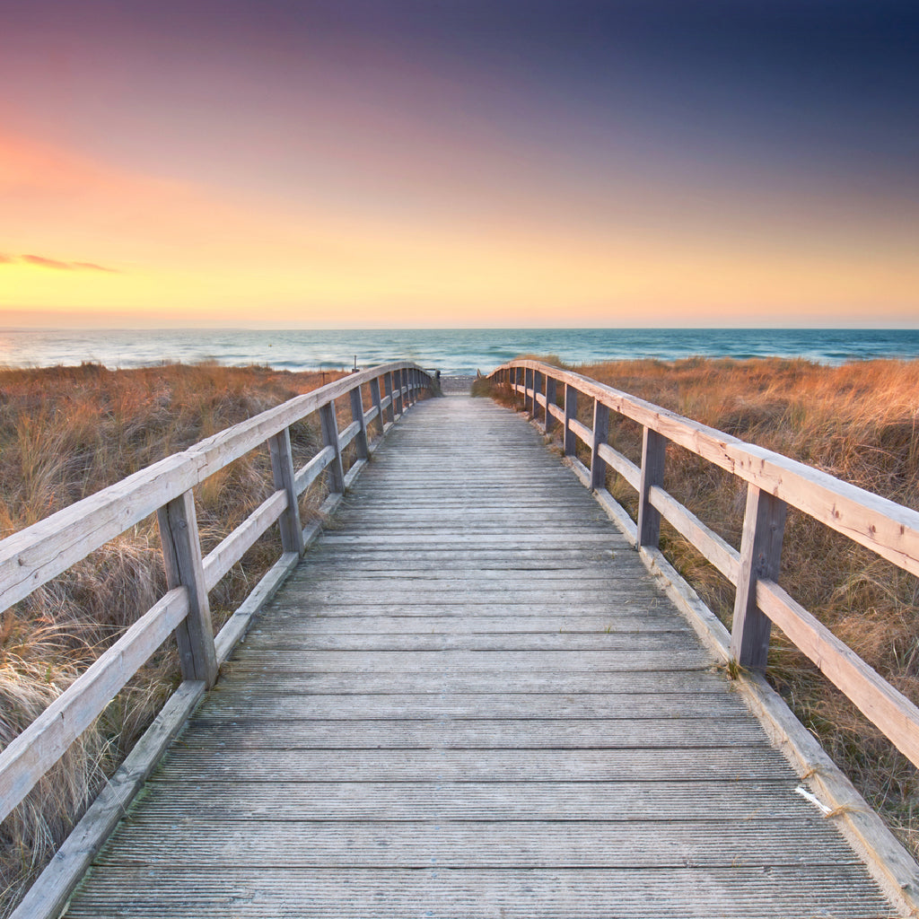 Square Canvas Wooden Path & Baltic Sea View Photograph High Quality Print 100% Australian Made