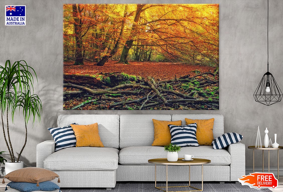 Autumn Forest Photograph Print 100% Australian Made