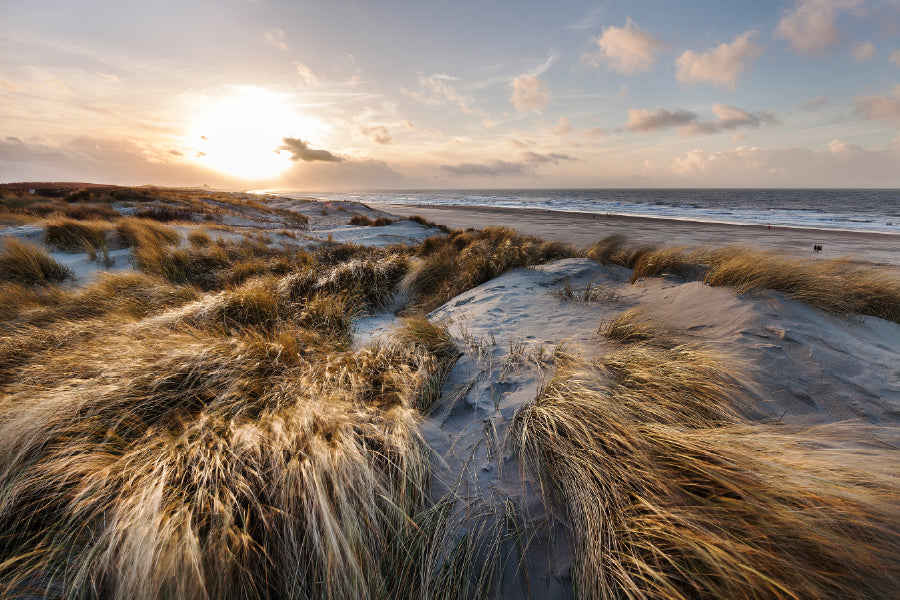 Marram Grass at Sea Coastline Photograph Print 100% Australian Made