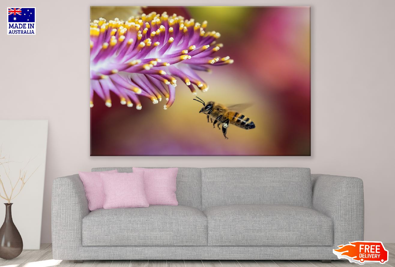 Bee On Flower Closeup Photograph Print 100% Australian Made