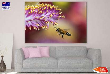 Bee On Flower Closeup Photograph Print 100% Australian Made