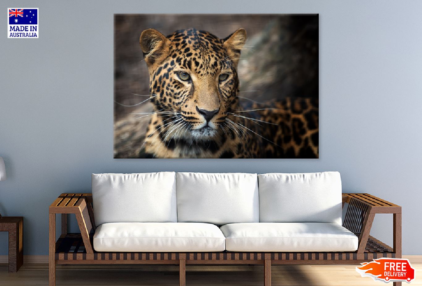 Young Leopard Face Coseup View Photograph Print 100% Australian Made